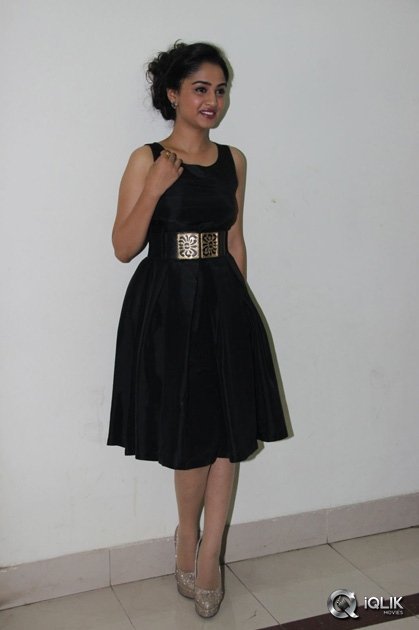 Srimanthudu-Movie-Thank-You-Function